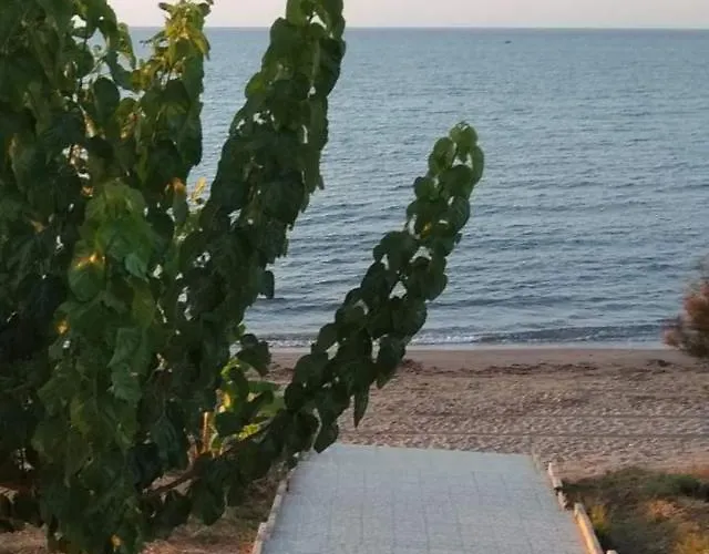 Dom wakacyjny Theo House In Kyllini Zakynthos *